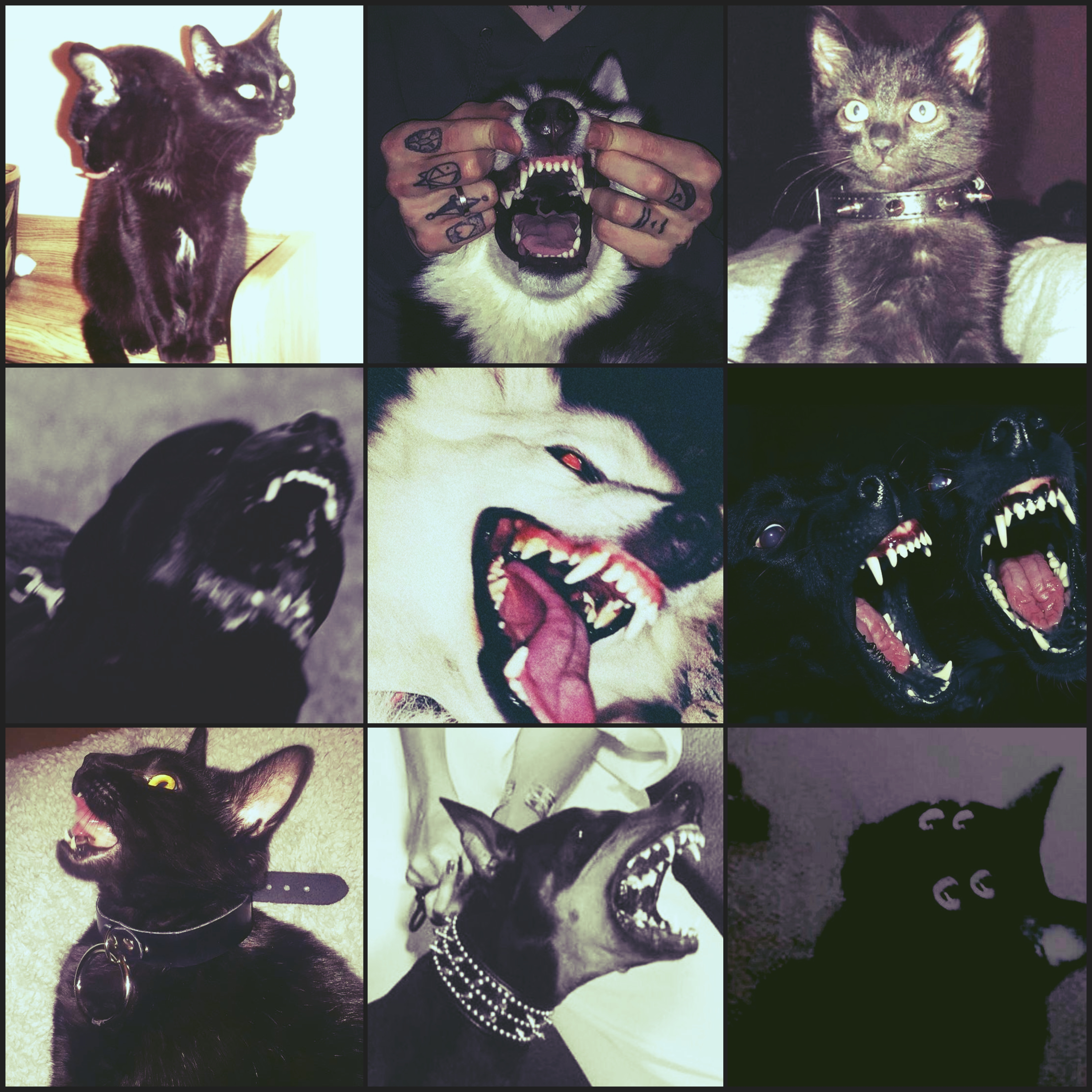 FEAR ME